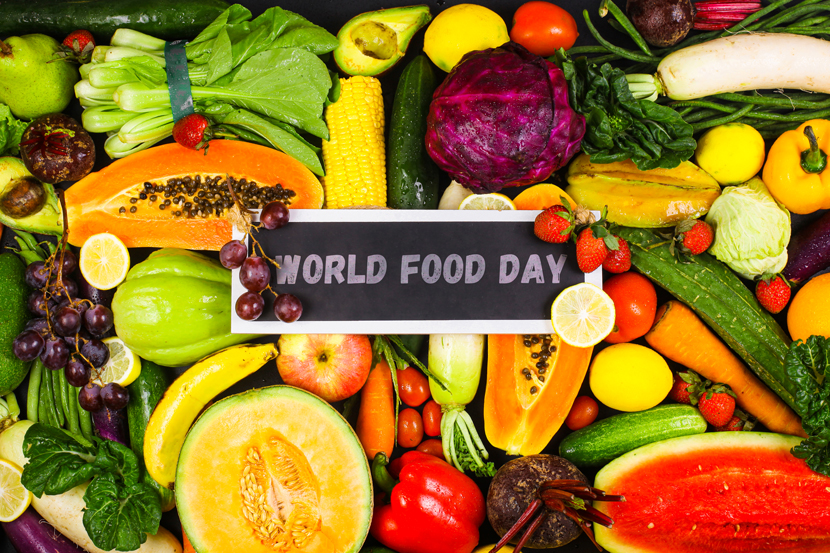 October 16 World Food Day The European Unions Perspective